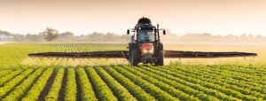 Agriculture in Ghana