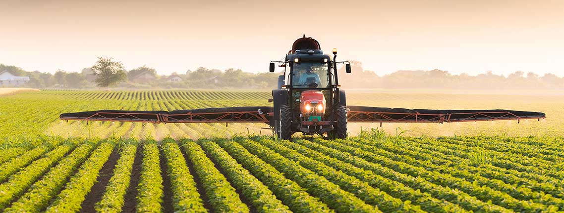 Agriculture in Ghana