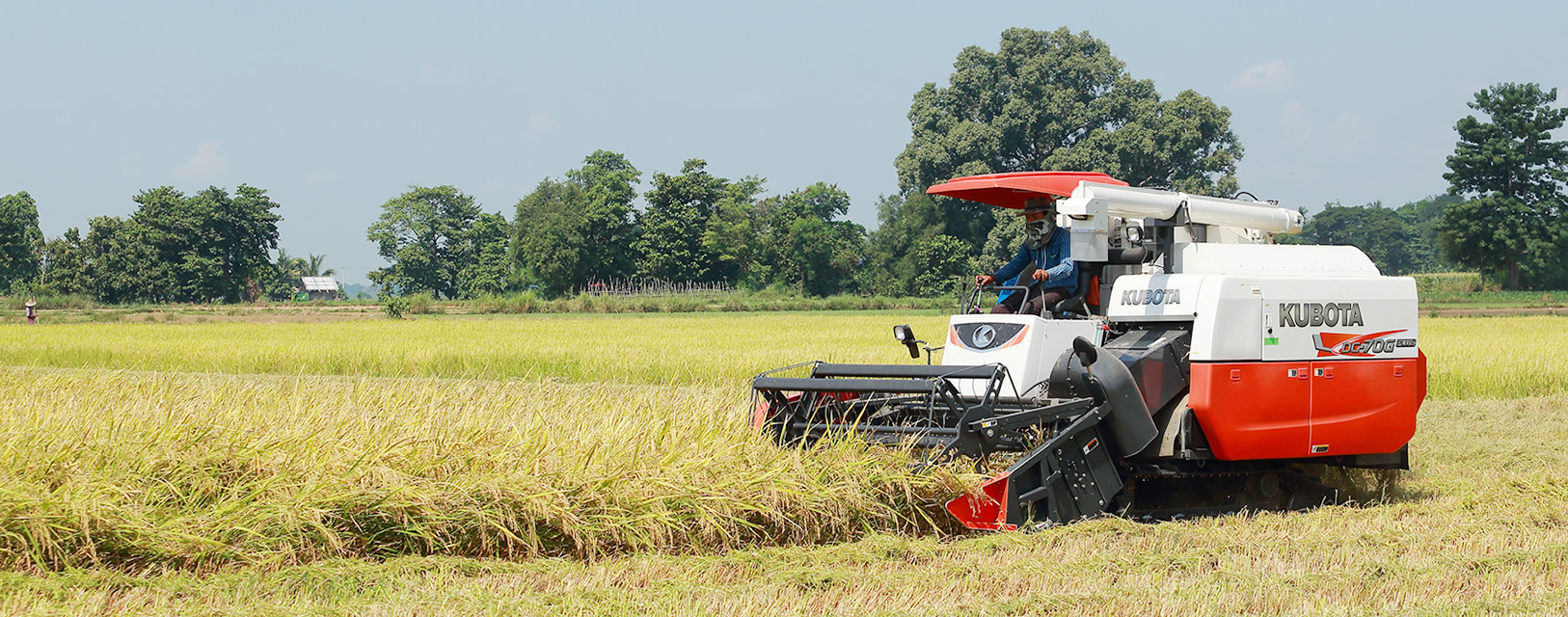 Combine Harvesters in Ghana