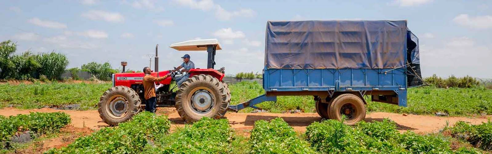 The Environmental Impact of Tractor Farming in Ghana